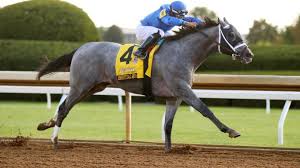 LezJunior's tweet photo. #BreedersCup day and another huge opportunity for the amazing #teamgodolphin to add to what has been a truly epic year! https://t.co/CdJ49QgjzD