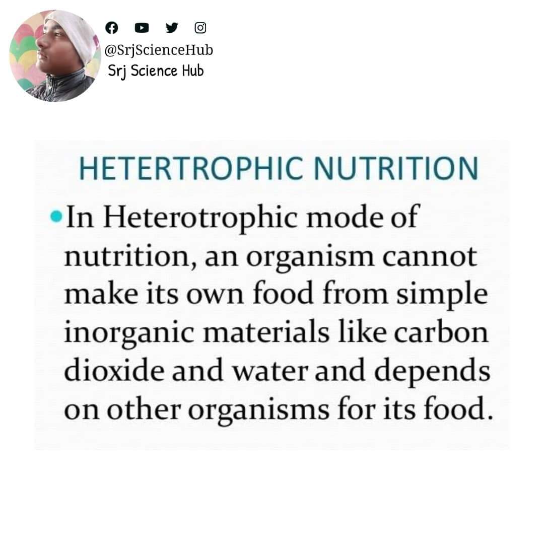 SrjScienceHub's tweet photo. ❝ #Heterotrophic #Nutrition ❞
•
•
Follow for more @SrjScienceHub
•
•
#srjsciencehub #science #sciencestudents #biology #selfstudy #biologynotes #sciencenotes #study #biologyteacher #biologystudent #biolovers #sciencestudent #scienceteacher #biologyclass #nutrition https://t.co/gRWOBpOOGf