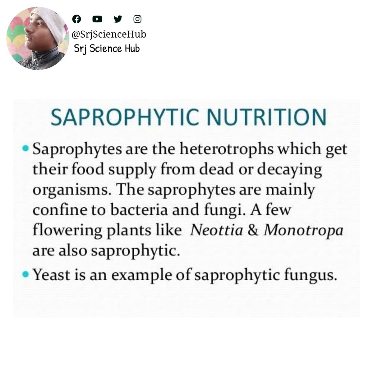 SrjScienceHub's tweet photo. ❝ #Saprophytic #Nutrition ❞
•
Follow for more @SrjScienceHub
•
#srjsciencehub #science #sciencestudents #biology #selfstudy #biologynotes #sciencenotes #study #biologyteacher #biologystudent #biolovers #sciencestudent #saprophyte #scienceteacher #biologyclass #nutrition https://t.co/cOR7SOg8TO