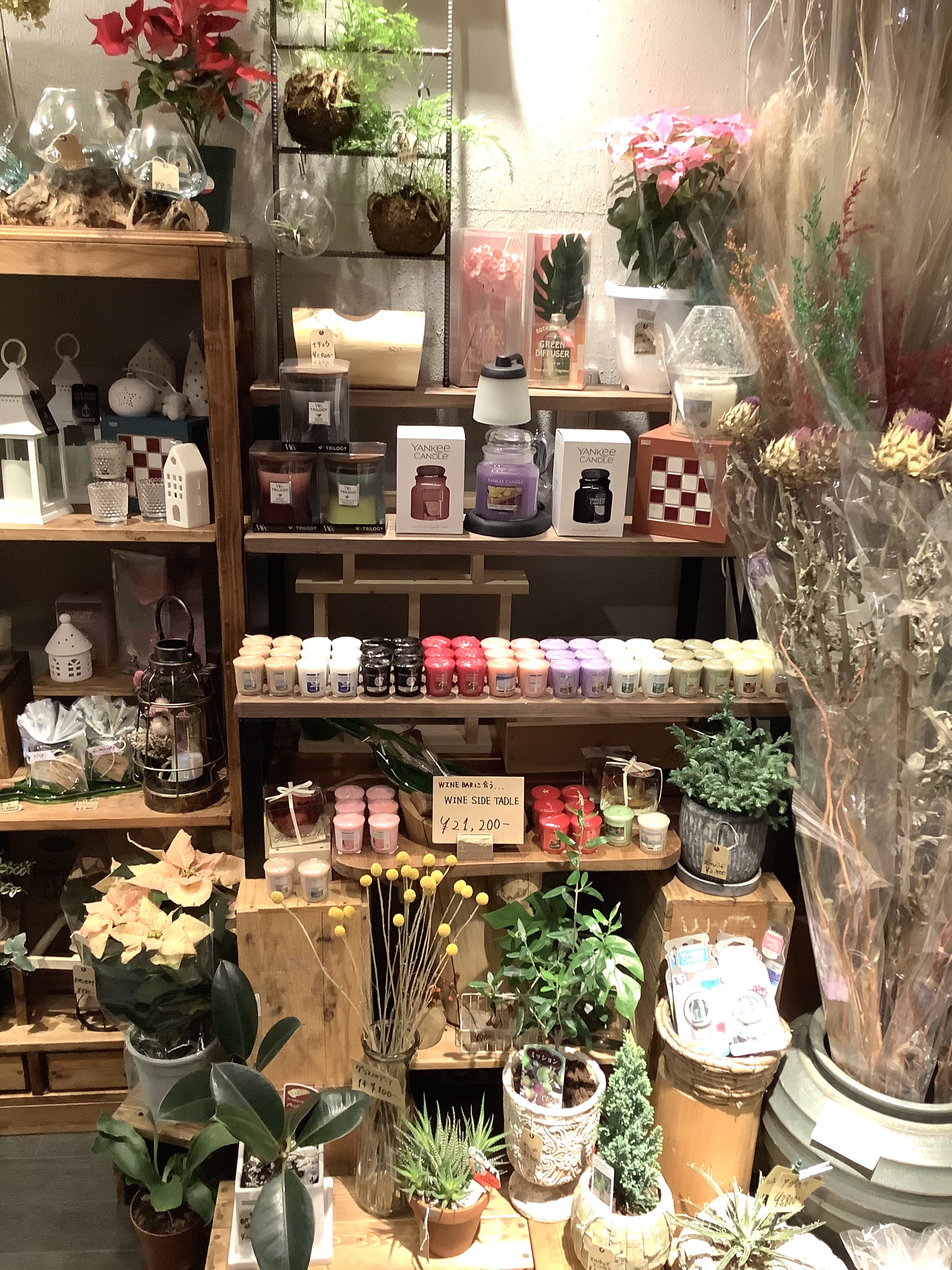 お花と雑貨の小さなお店 トロン By西尾花店 Nishio Flower Twitter