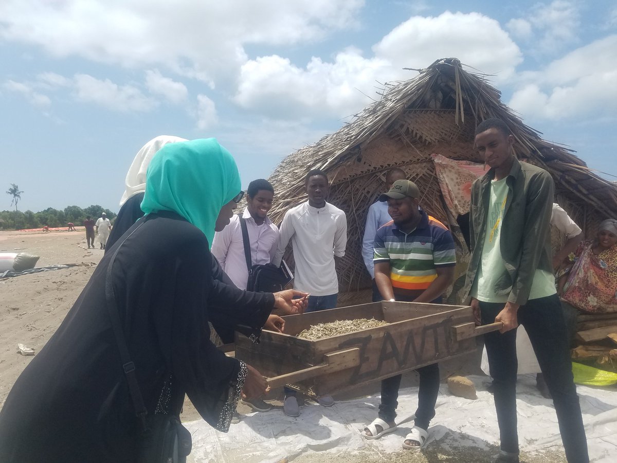 mamcurie's tweet photo. #ZanzibarFisheries sector contributes nearly about 4.8% of the #GDP of the #Island.
Anchovy production is still not #marginalized by many in the #Island.
@Zanzibarblueconomy #fungurefu
@ZESEO3 #anchovy #developmentcommunity https://t.co/AkWe4FC9Kl