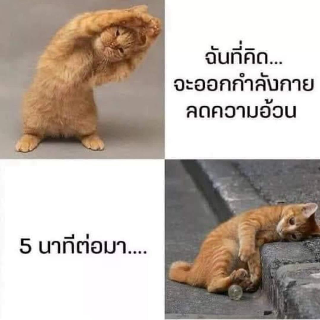 มันใช่เลย….🤣😅