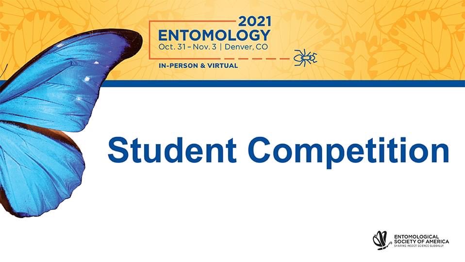 WazzuDrLaura's tweet image. Great job ⁦@WSUEntomology⁩ at the #EntSoc21 meeting! Very proud! Go Cougs!