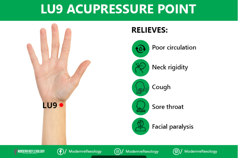 modreflexology's tweet photo. Are you facing problems like poor circulation or neck rigidity? Press LU 9 for relief. 

#Moernreflexology #lu9 #Acupressure #pressurepoint #circulation #cough #sorethroat #paralysis #Pain #painrelief #Health https://t.co/ilDWqdEKwc