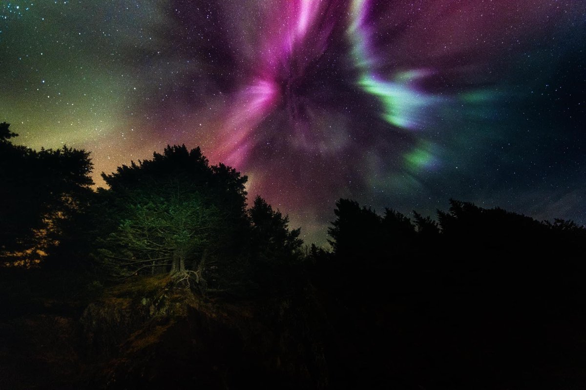 _itshammahtime_'s tweet photo. What my phone picked up last night vs professional pictures. When I tell y’all I literally live in a wonderland 😍 #alaska https://t.co/hb5IZg9tpp