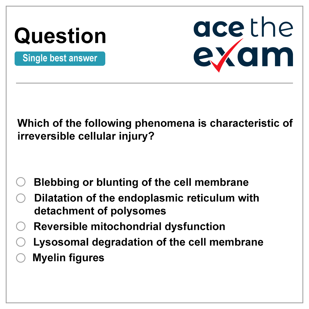 AceTheExam's tweet photo. 🤯 Everybody loves cellular pathology! Recognising patterns and buzzwords is what gets you through this exam, and there is no better way to do that than going through hundreds of practice questions. Luckily we have over 6000 online! https://t.co/MCROSexvU9 https://t.co/uPZSwdJxNJ