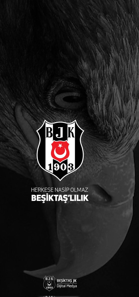 Dilekbjk2's tweet photo. Hayatın anlamı,siyah beyazdı @Besiktas 
#SiyahBeyazChalleng https://t.co/iEs5DIhQNu