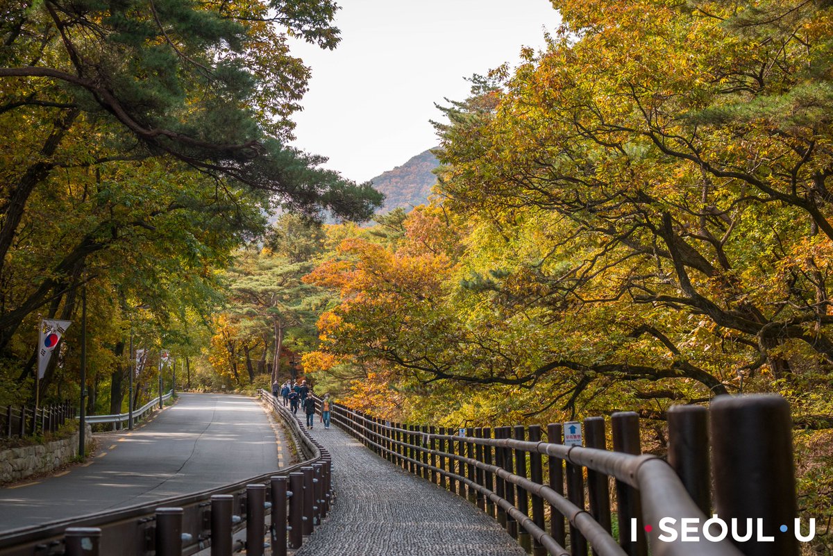 Seoul_gov's tweet photo. Bukhansan Mountain is one of three representative natural wonders of Seoul along with Namsan Mountain and the Hangang River.
Bukhansan Mountain draped in autumnal foliage attracts visitors for its stunning view.

✔️For details: https://t.co/vxYBkxChwd

#ISeoulU https://t.co/zrvYEJd2ZA