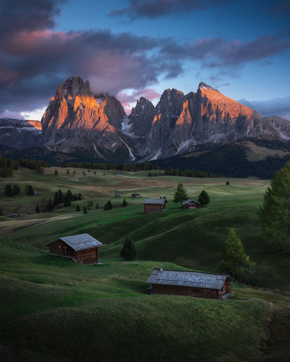 Jord Hammond tweet media