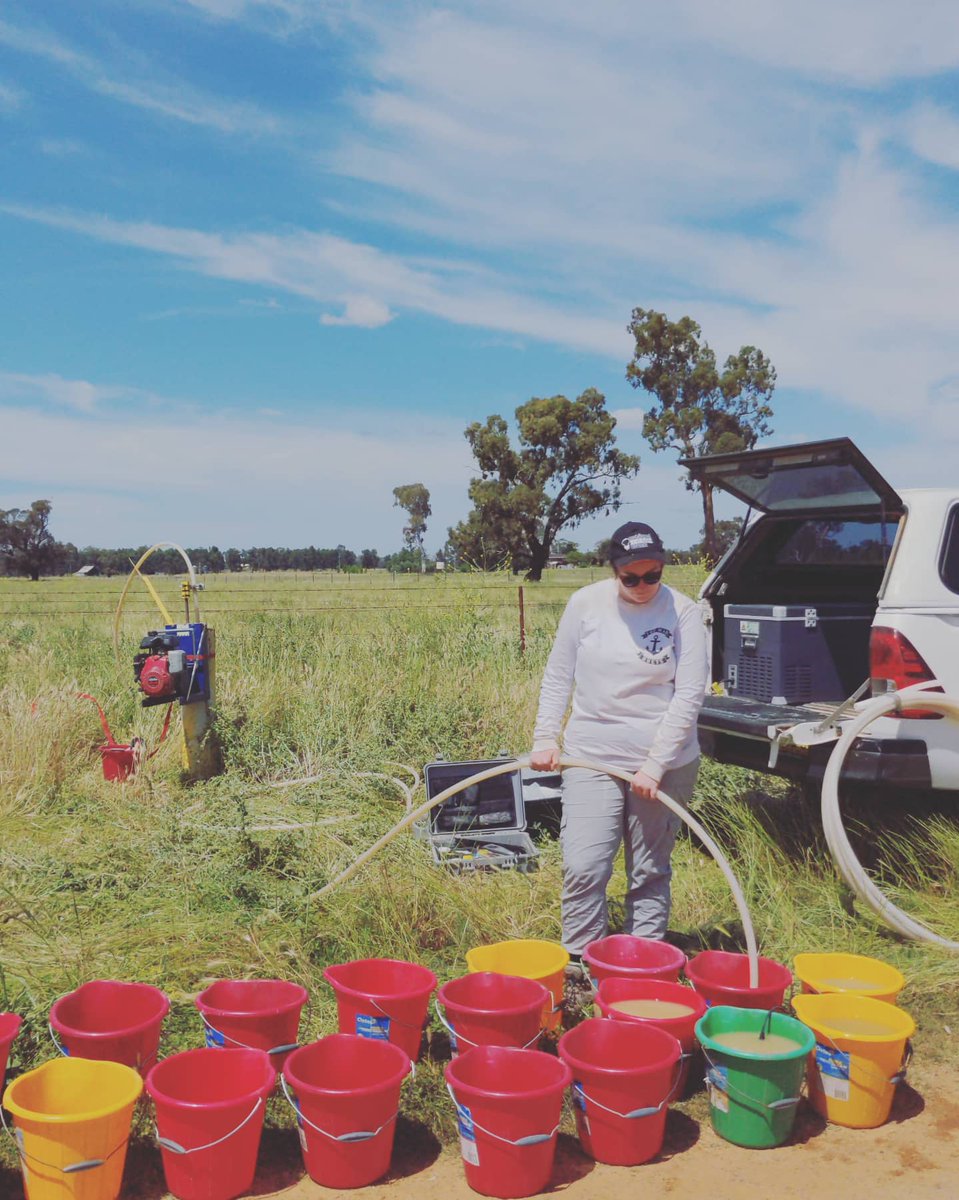 Tess Nelson tweet media