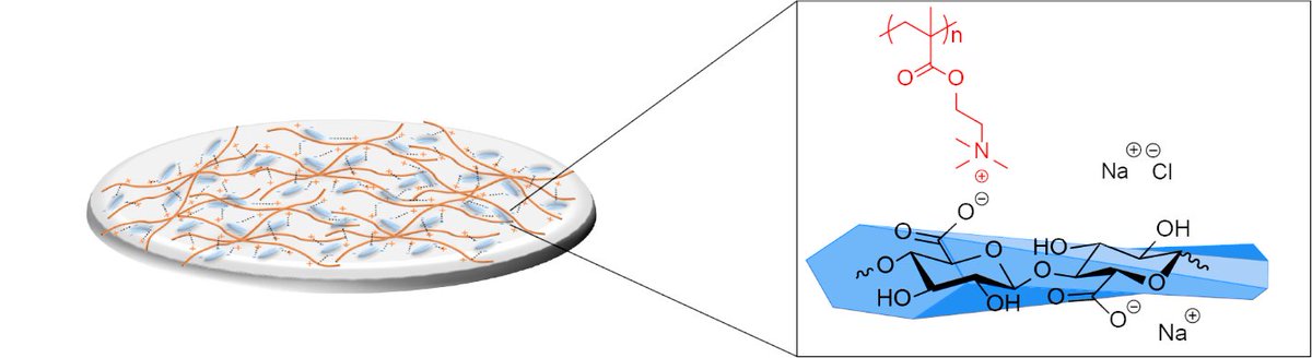 Polymers&Materials tweet media