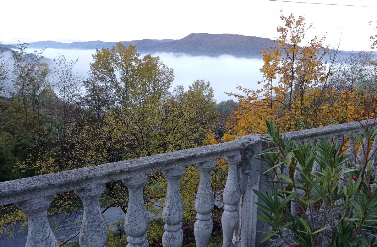 Living above the clouds! Autumn foggy days are so magical 🙂 #AltaLanga #Piemonte