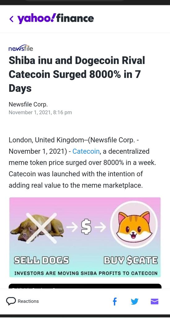 CATE🚀🌙 tweet media