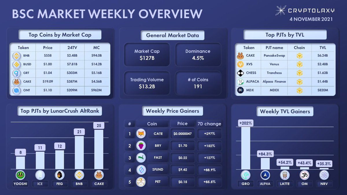 CATE🚀🌙 tweet media
