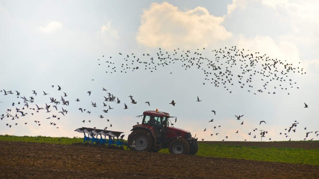 lecho's tweet image. INNOVER | Agromet, le nouveau meilleur ami de l'agriculteur wallon
➡ lecho.be/innover/genera…
✍️ Par @Arnd_Martin |
#agriculture #météo #optimalisation #production #technologie