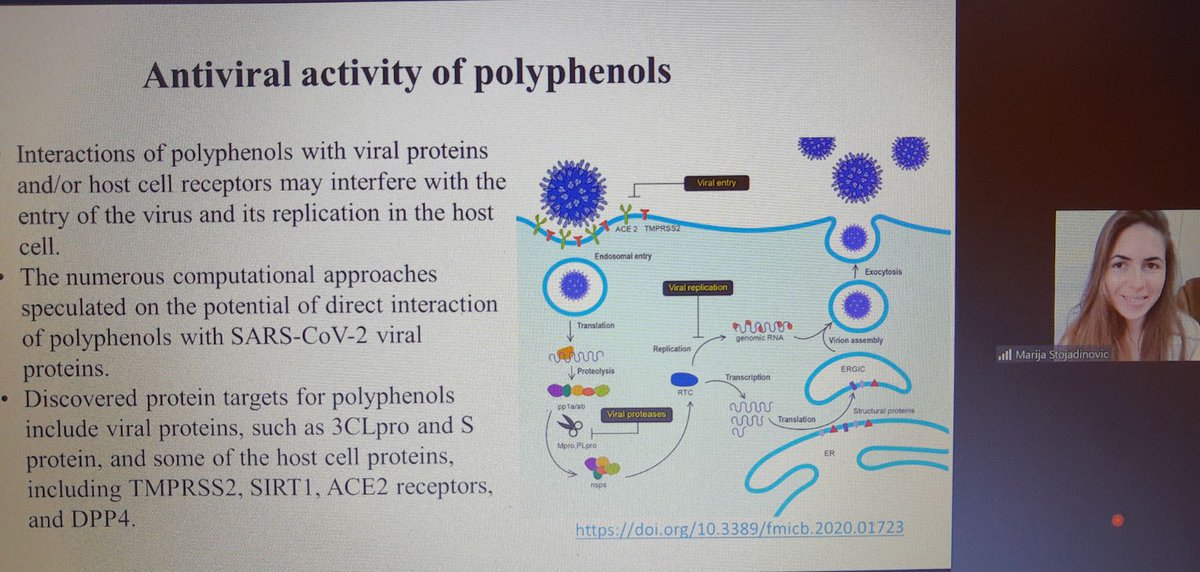 FoodEnTwin's tweet photo. Marija Stojadinovic gave a lecture on polyphenols in Covid-19 protection and prevention during @FoodEnTwin webinar. Joint work of @HemijskiFak_UB and UGhent  #Foodentwin #polyphenols #COVID19 https://t.co/JsD4kCyaDF