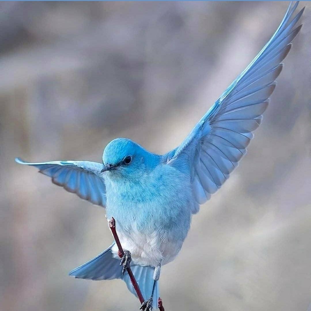 tiny_dsc's tweet photo. #董思成 💙 https://t.co/kM6QB0NKIL