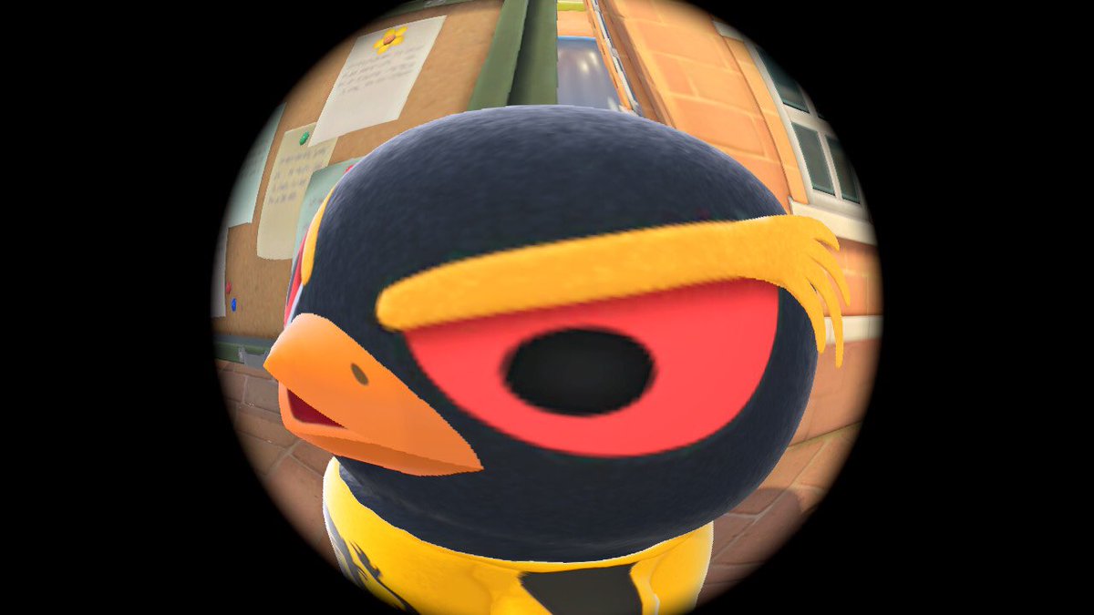 shrugon's tweet photo. Hopper: 🧍🏽‍♀️ https://t.co/Z847Lp8WQA