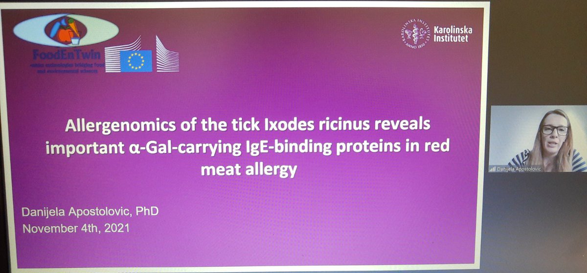 FoodEnTwin's tweet photo. Danijela Apostolovic presenting work on allergenomic of the tick Ixodes ricinus @FoodEnTwin. Joint work of @HemijskiFak_UB and Karolinska Institutet, published in @AllergyEAACI #redmeatallergy https://t.co/tc7mB1YHMi