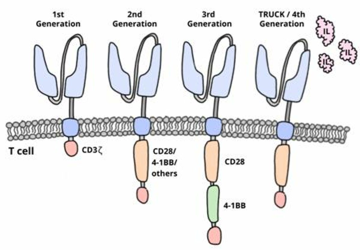 JCM MDPI (@jcm_mdpi) on Twitter photo #mdpijcm
New #Review “The Role of CAR-T Cells in Peritoneal Carcinomatosis from Gastric Cancer: Rationale, Experimental Work, and Clinical Applications” by Dr. Siyuan Qian et al.
More at mdpi.com/2077-0383/10/2…
#gastricadenocarcinoma #peritonealcarcinomatosis
<a href="/Hospital_FJD/">FundaciĂłn JimĂ©nez DĂaz</a> #mdpijcm
New #Review “The Role of CAR-T Cells in Peritoneal Carcinomatosis from Gastric Cancer: Rationale, Experimental Work, and Clinical Applications” by Dr. Siyuan Qian et al.
More at mdpi.com/2077-0383/10/2…
#gastricadenocarcinoma #peritonealcarcinomatosis
<a href="/Hospital_FJD/">FundaciĂłn JimĂ©nez DĂaz</a>