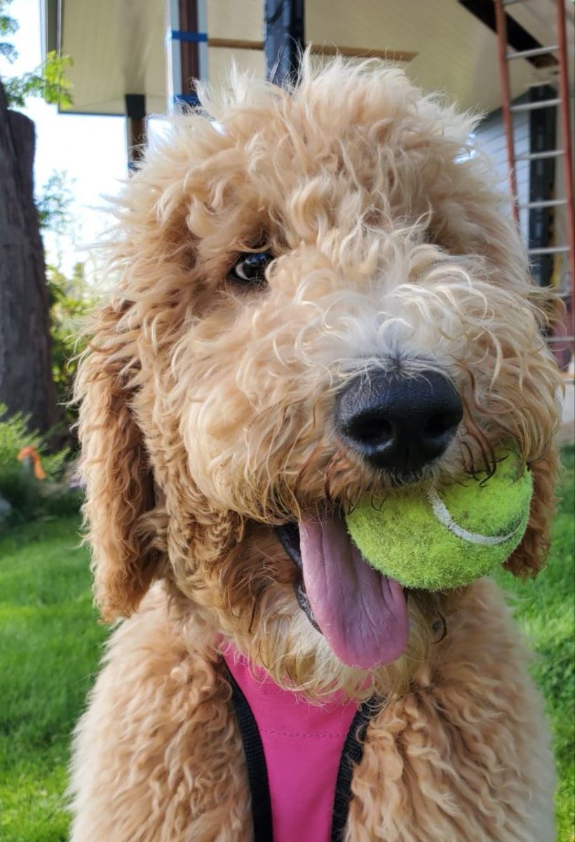 Anyone up for a quick game?