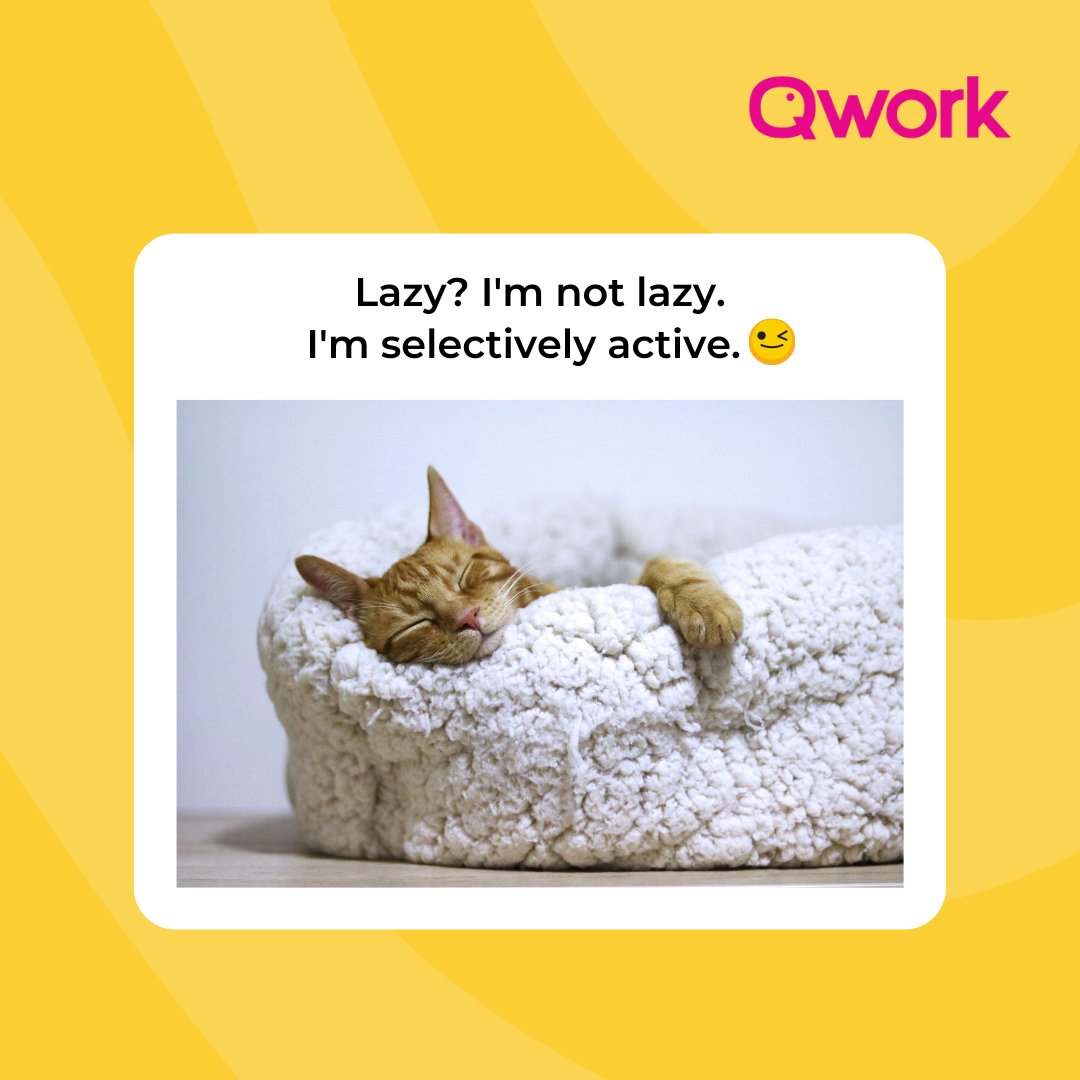 Call it lazy. Call it selectively active. As giggers, we love to move at our own pace! 😝

 📲 Explore more gig opportunities on Qwork App. Get the app today: buff.ly/3AaqogR

#NavigatingTheGigEconomy #TGIF #FutureOfWork #career #careertips #freelancemalaysia #jobmalaysia