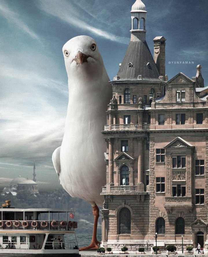 Emel 🇹🇷❤ tweet media