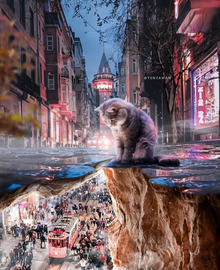 Emel 🇹🇷❤ tweet media