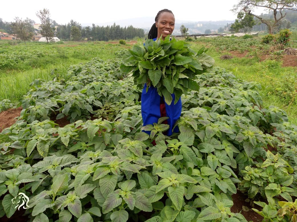 JMukundente's tweet photo. Farming is a profession of Hope.
~Brian Brett https://t.co/Ec6KG9b3FU