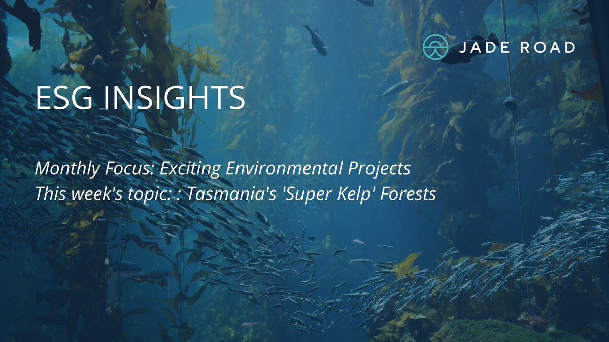 HarmonyGlobal_'s tweet photo. ICYMI, did you know that selected species of kelp are being grown in a laboratory before being returned to their natural habitat, aiming to regrow a more climate-resilient kelp population in Tasmania, Australia?​

Read the #ESGInsight:
https://t.co/pBJVm5b8Vx https://t.co/ErOiVKQkHn