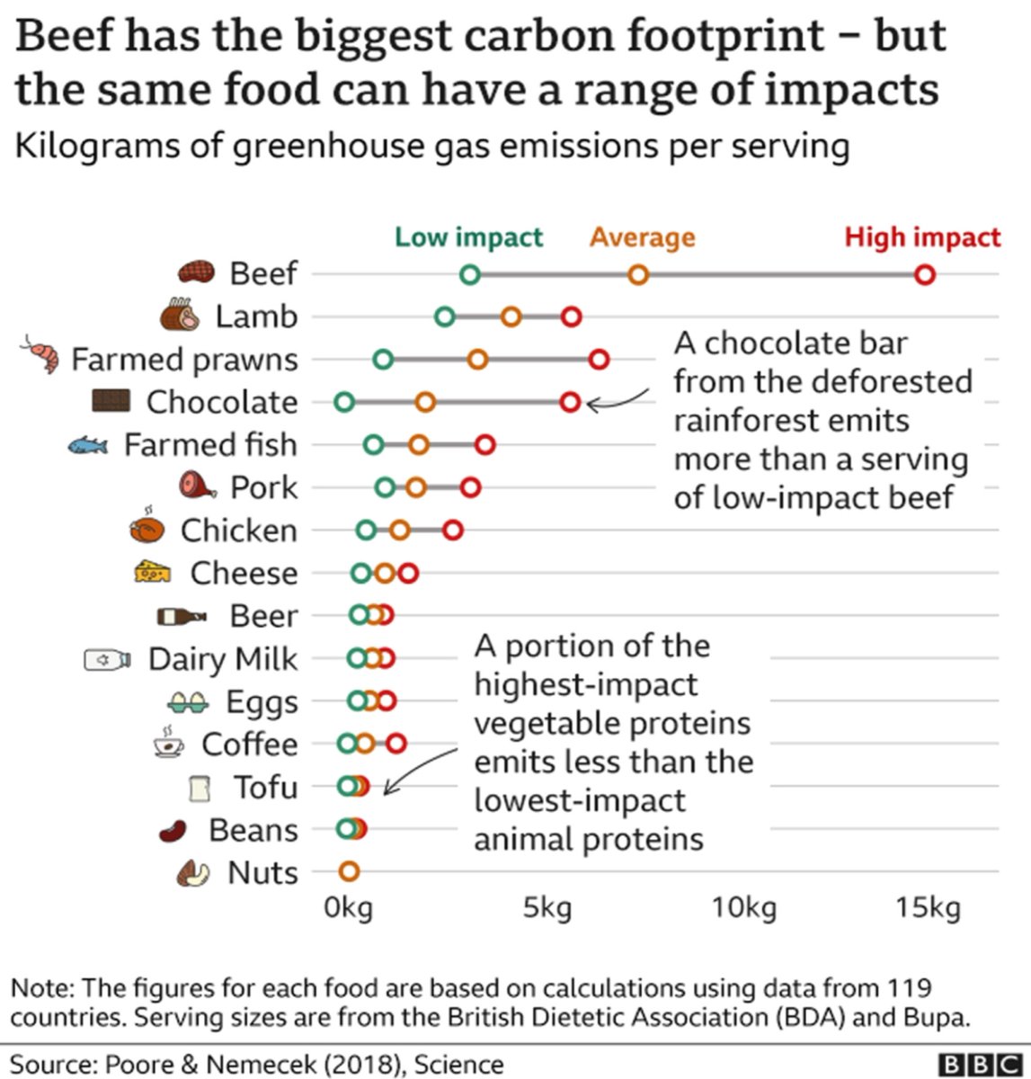 garethmcgivern's tweet photo. Hey @BBCNews what is “low impact” beef? On your graph it looks just as green as most other foods. Where can I get some of these low impact options? https://t.co/THhTdMqInd