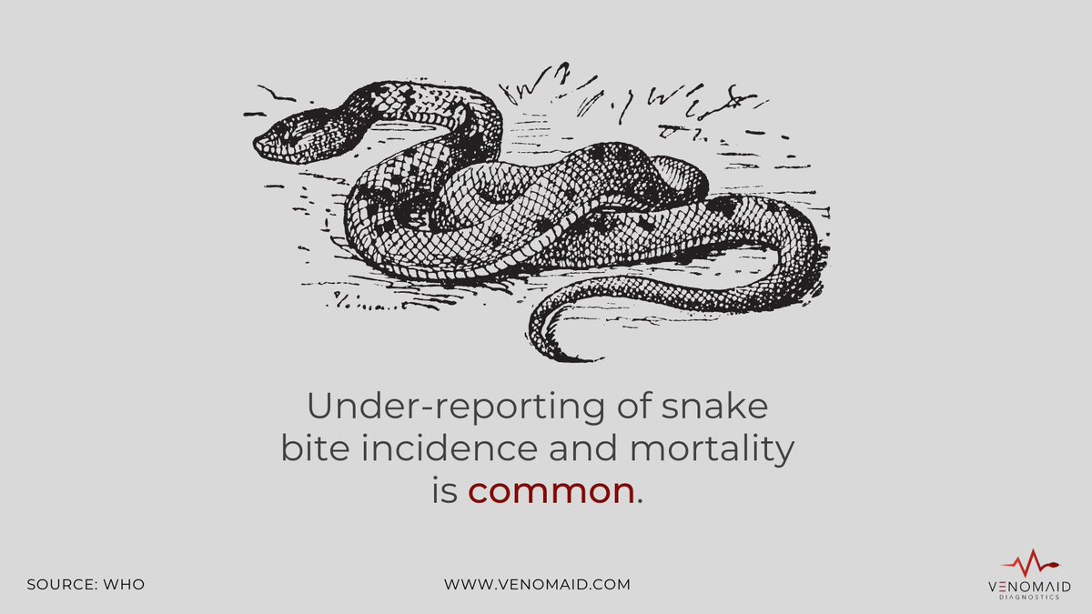 VenomAid_dx's tweet photo. Health systems in many countries where snakebites are endemic often lack the proper infrastructure and resources to collect robust statistical data on the problem.

At VenomAid, we believe that innovative diagnostics could help improve this. 

#snakebite #management https://t.co/M9aRNi1Zpq