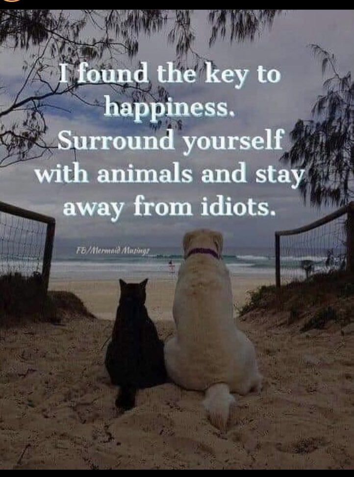 linksoflondon's tweet photo. This is very true. https://t.co/oX8YNmt62H