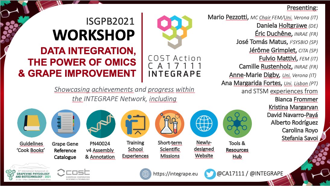 Grapediaportal's tweet image. Thanks to @ISGPB20213 we have showcased to the grape community the results of our #INTEGRAPE @COSTprogramme Action: talks on the new PN40024 assembly (Camille Rustenholz from @INRAE_Colmar) &amp;amp; the gene reference catalogue (@jtmatus from @i2sysbio). Follow the thread below..