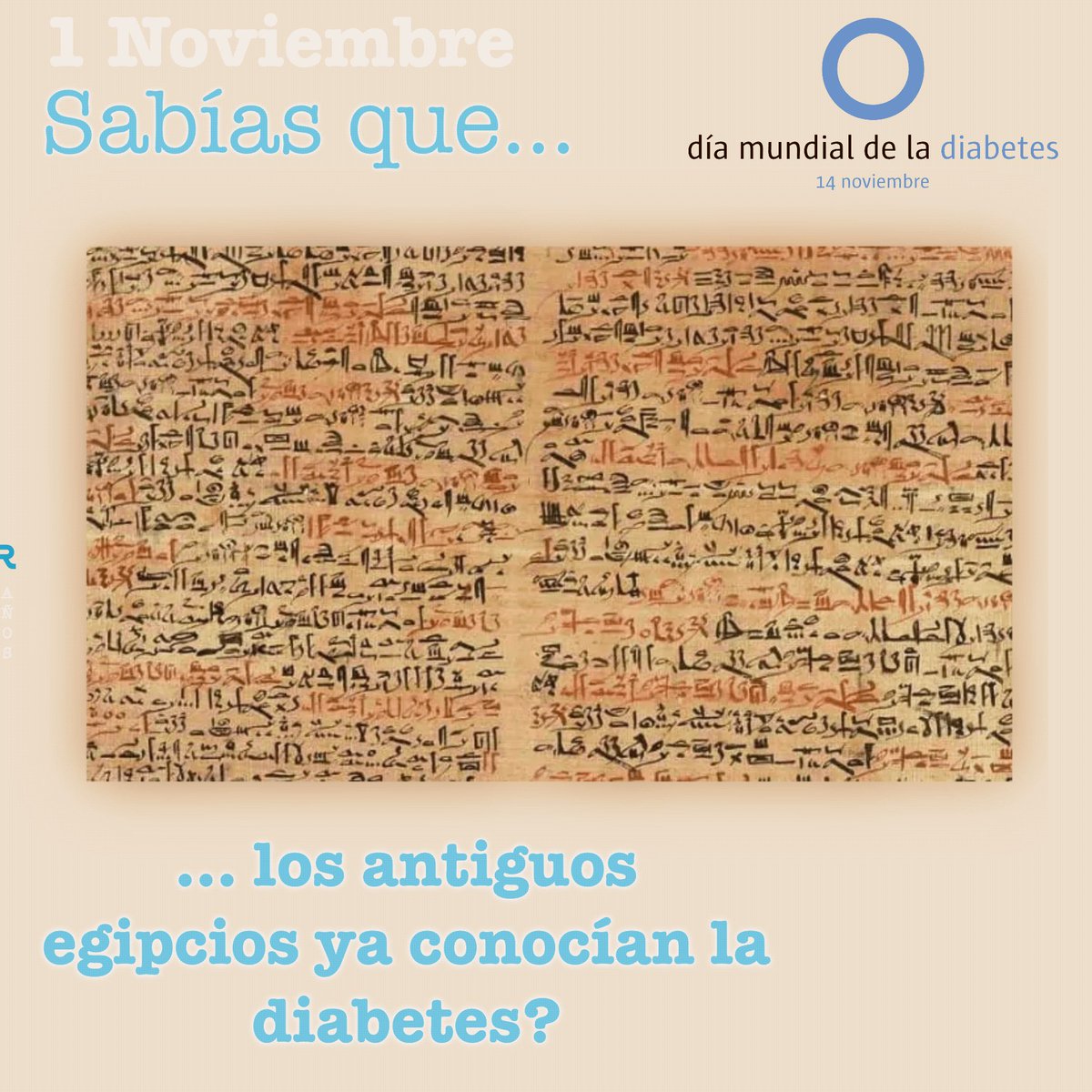 adicorc's tweet image. Vamos a conocer algo más sobre la historia de la diabetes y la insulina, de cuyo descubrimiento se cumplen 100 años. Te animas a seguirnos para saber un poco más?

#diabetes #noviembremesdeladiabetes #100añosdeinsulina