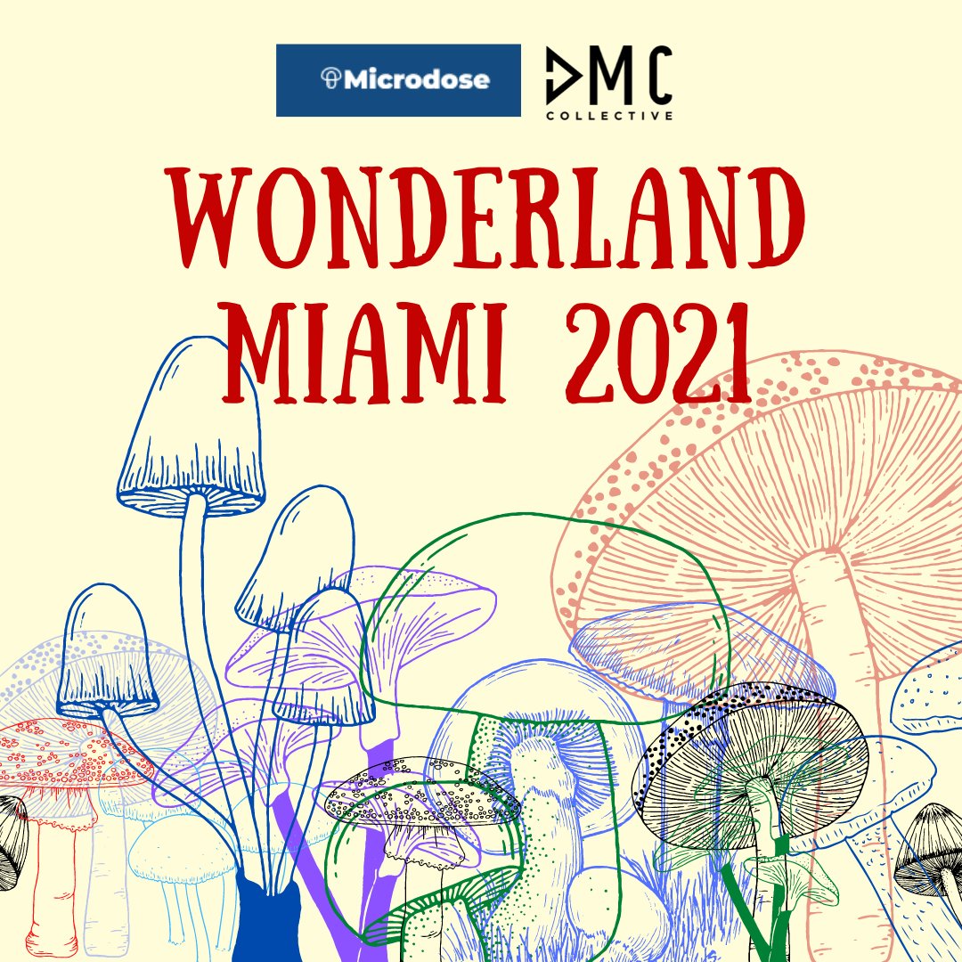 The DMC Collective (@dmc_collective) / Posts / X