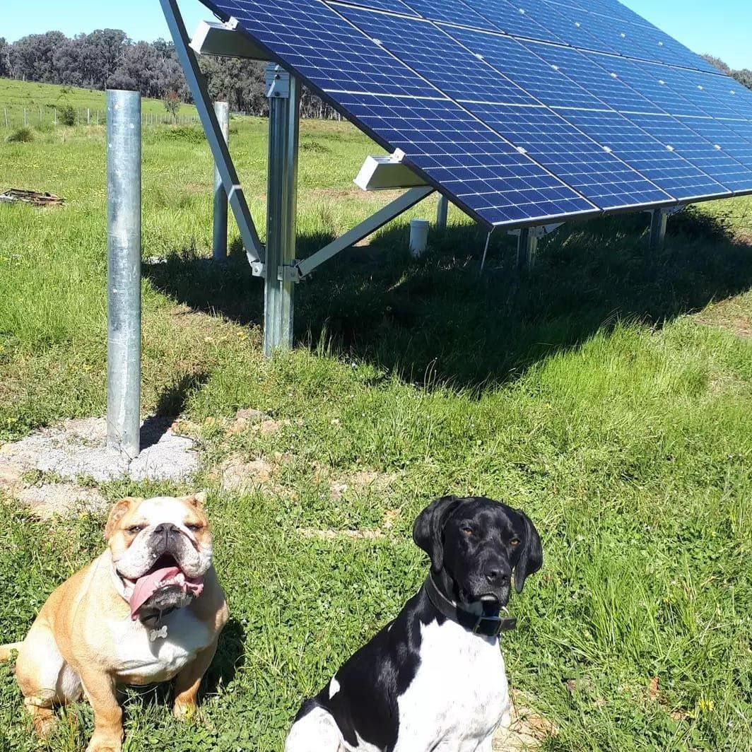 lorentzaust's tweet image. It’s all hands-on-deck for this customer in the #UpperMurray region of #NewSouthWales! 🐶
Who’s been your canine companion this week?
📸 #LorentzAustralia dealer, Coreworx Contracting Australia #LORENTZ