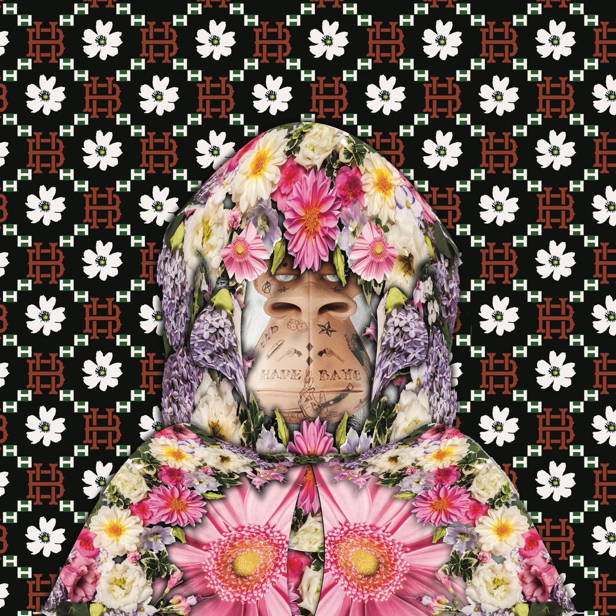 My imagination of a flower Hape, deleted the previous green background and change it to black. Constructed in Photoshop  #HAPEBEAST @HAPEBEASTGANG <a href="/HapeFanPage/">HapeBeastFanPage</a> <a href="/DigimentalLDN/">| Digi |ape®.eth</a>