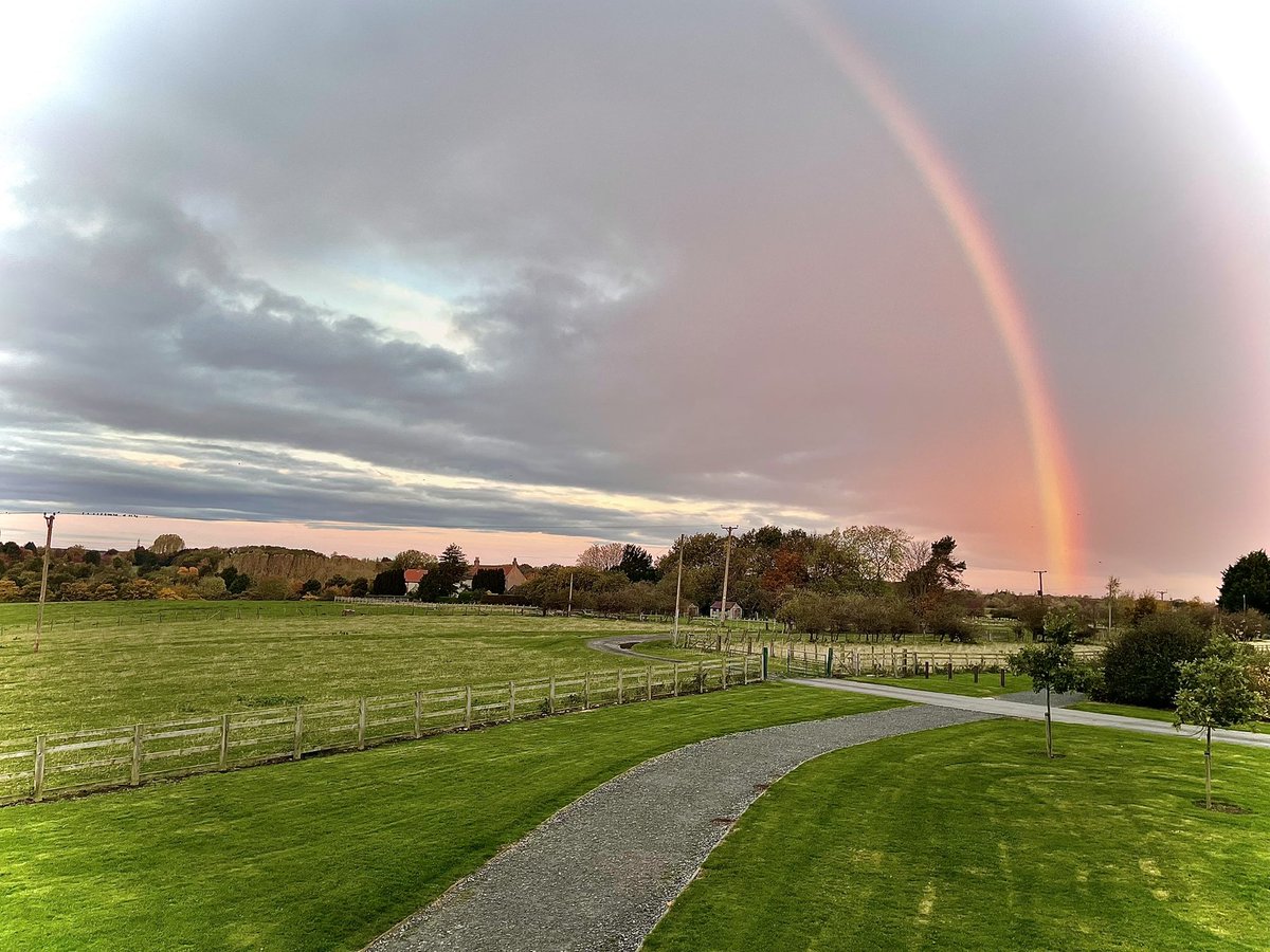 David Knowles Photography tweet media