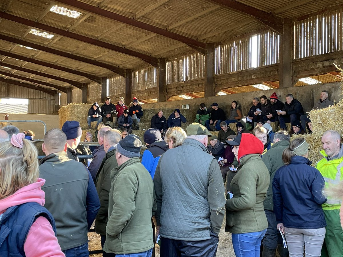 bovi_gen's tweet image. It was great to see such a packed sale ring at the dispersal of Smiths farming ProCROSS herd where buyers came from all over the uk to try and buy cattle if all ages. The trade was on 🔥
#procross,#dairy365 #sustainable,#efficient, #dairy, #cows