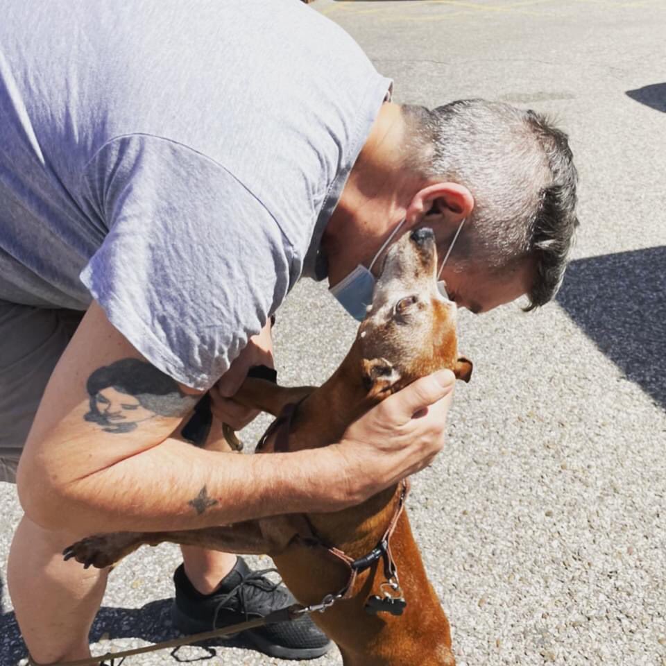 Hace unos días Koldo, el pequeño de ojos tiernos, volvió con su humano. Jose terminó su tratamiento y recuperaba su vida y la convivencia con su amigo.
💚 Haz un donativo: Cuenta: ES54 0049 5190 9528 1679 9939
💚 Hazte socio:  asociacionfeel.org/socios/