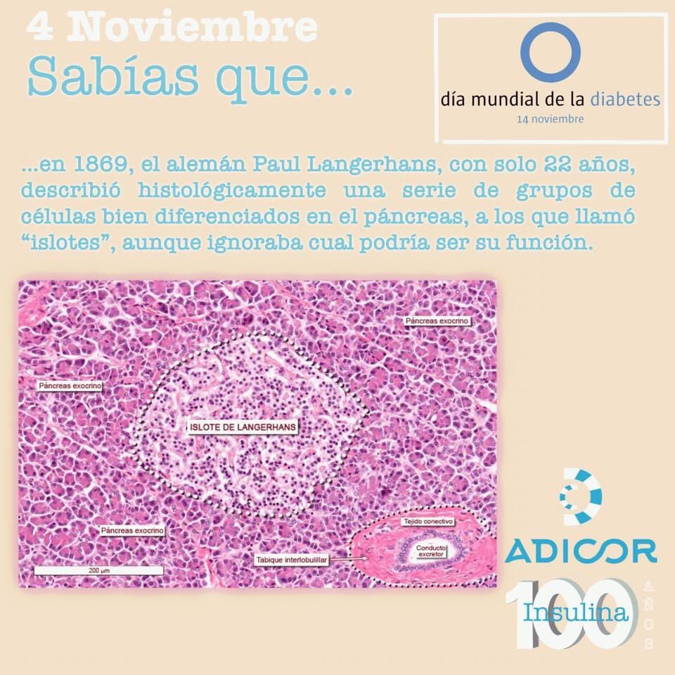 adicorc's tweet image. #diabetes #DiabetesAwarenessMonth