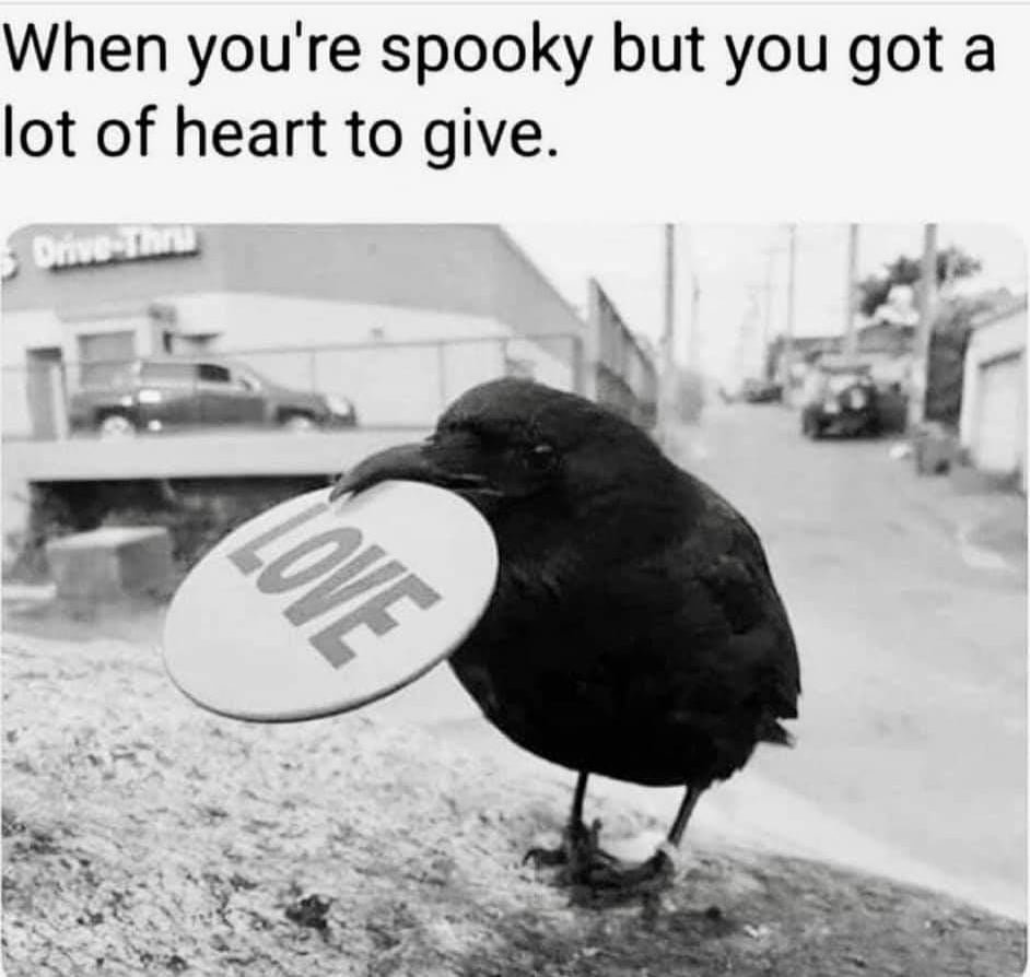 SubRosaMagick's tweet photo. #love #corvids #ravens #witchesbelike #gothic https://t.co/b6YqyNBORF