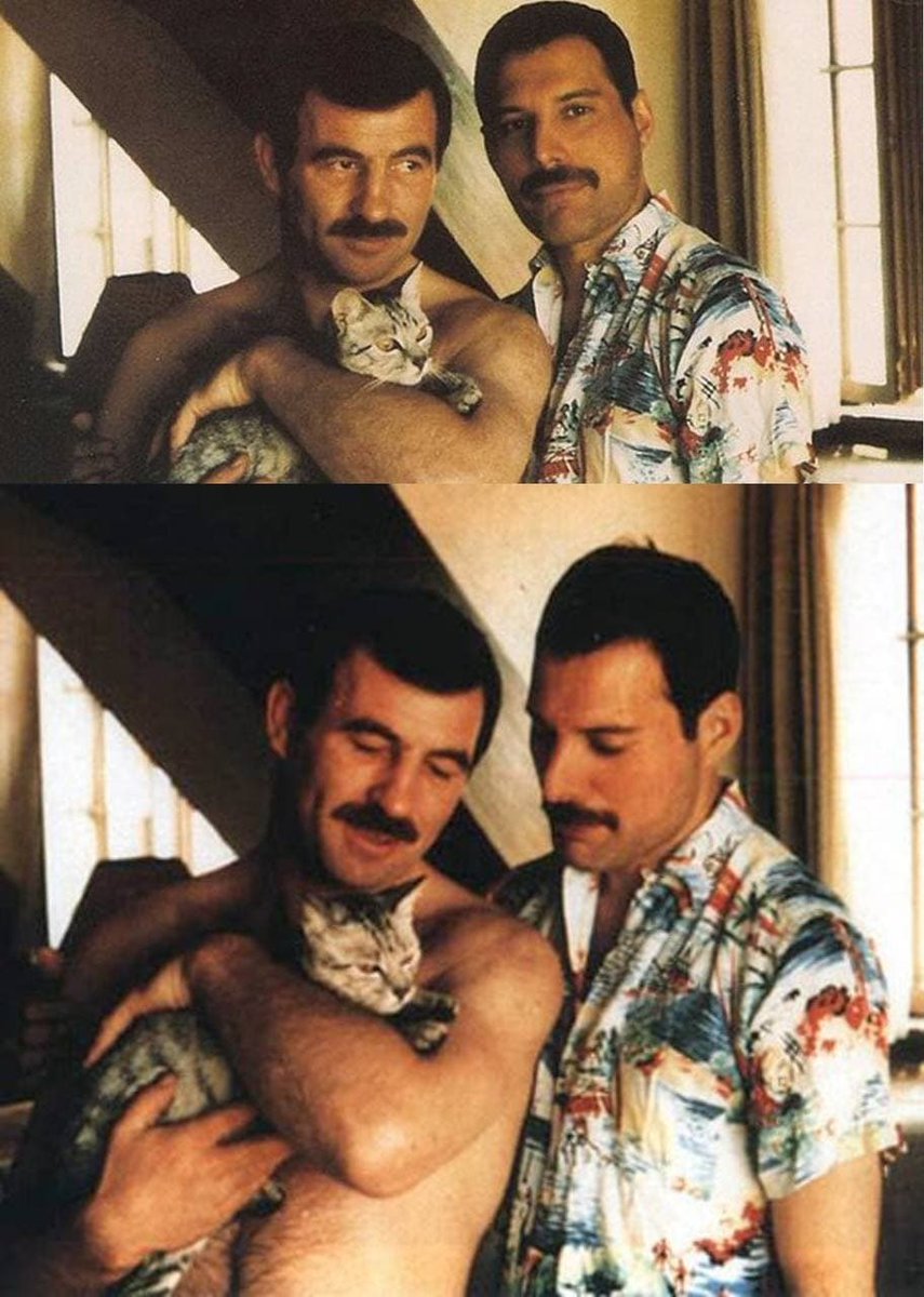 Archives_90s's tweet photo. Freddie Mercury, Jim Hutton and the Cat, 1980s. https://t.co/GsbGUJC6an