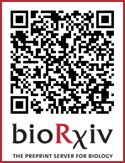I am delighted to share:
1. Our work "Systematic Perturbation of an Artificial Neural Network: A Step Towards Quantifying Causal Contributions in The Brain" is now on <a href="/biorxivpreprint/">bioRxiv</a> 
2. Not only the code but also a Python package is on <a href="/github/">GitHub</a> 
Links and summary 👇