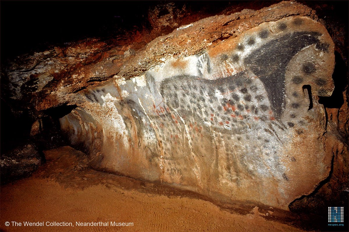 PreGraphity's tweet photo. Hands up! 🖐️🖐️🖐️🖐️🖐️🖐️🐎🐎
This #FridayPaleoArt we return with a classic work-of-art that we showed two years before to explain a bit more! 

Cave: #PechMerle
Place: Cabrerets, France
Motif: Black horses, fish, negative mains and fingers;  ⚫️🔴 painting
Chronology: #Gravettian https://t.co/iyAMw0gJ4Z