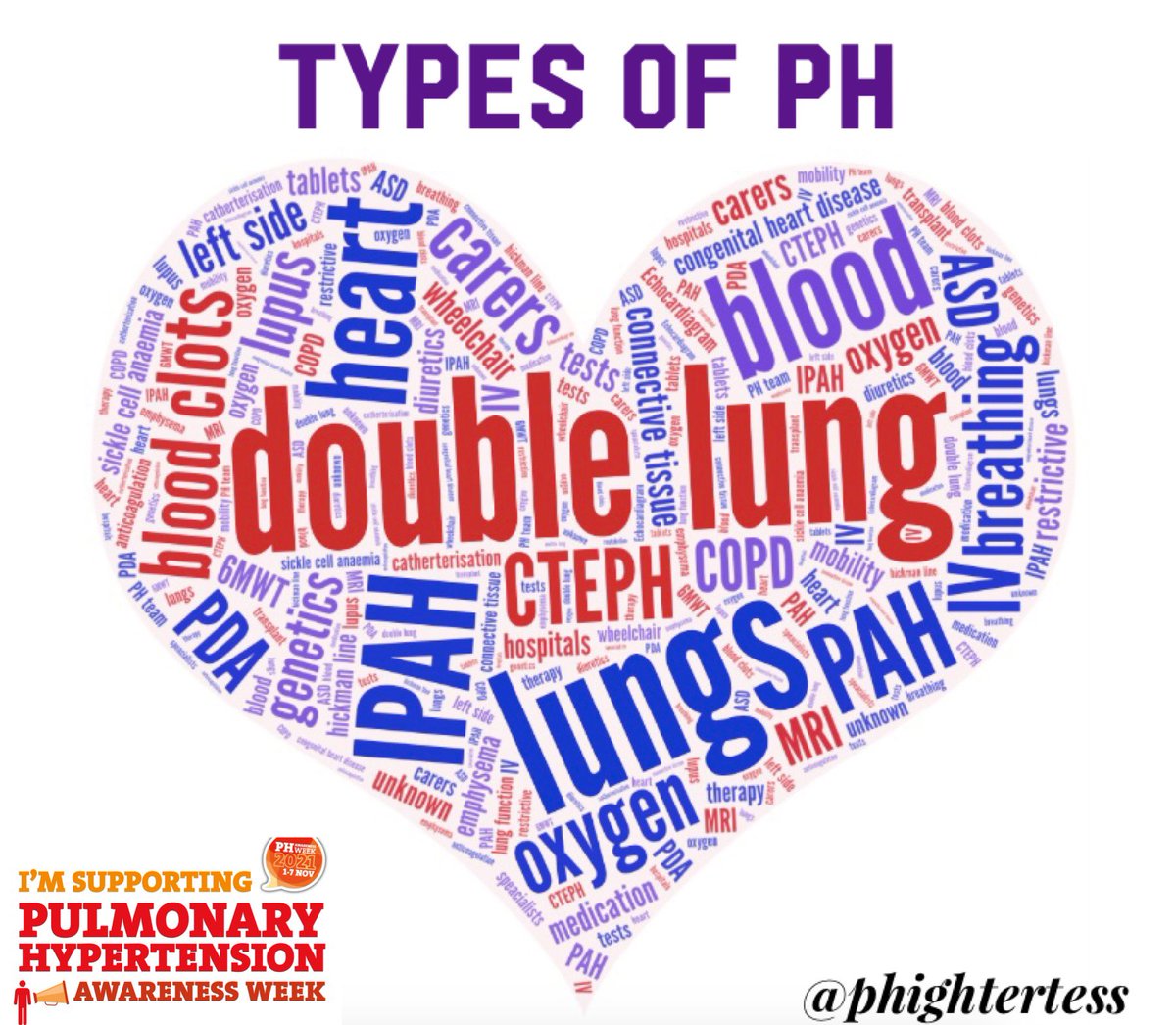 maritess_mt's tweet photo. π ββ ππππ - π»ππͺ π π
Pulmonary hypertension (PH) is a general βumbrella termβ used to describe high blood pressure in the lungs from any cause. There are 5 different types of PH, learn more here: https://t.co/dQUSju4yVv π« #PHWeek21 #HearOurVoices @PHA_UK https://t.co/WfJ9feV0IU