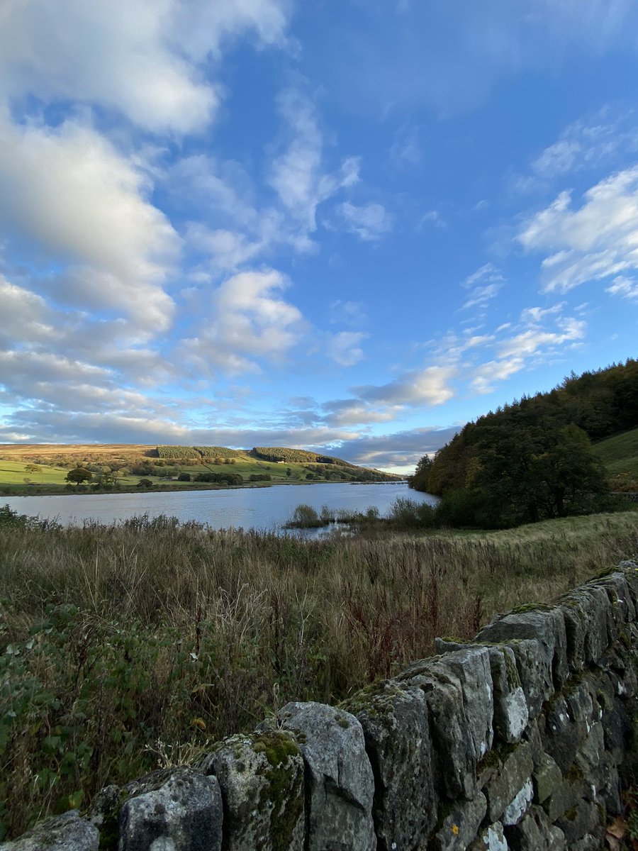 SimplyByArrangement tweet media