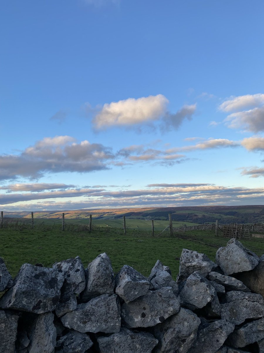 SimplyByArrangement tweet media