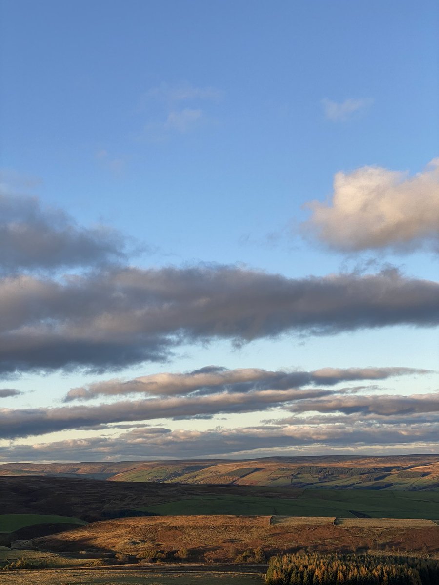 SimplyByArrangement tweet media